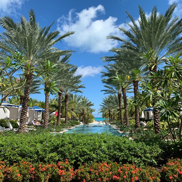 Meet your Posher, Dana - Picture 1 of 1